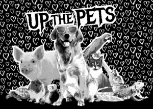 Up The Pets