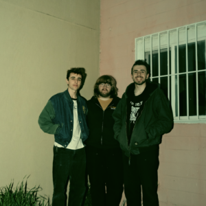 Aren't We Amphibians