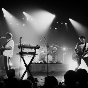 The Wombats